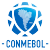 VM Kvalifisering, CONMEBOL