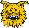 Tampereen Ilves