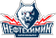 Neftekhimik Nizhnekamsk logo