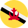 Brunei logo