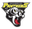 Ringerike logo