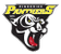 Ringerike logo