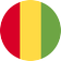 Guinea logo