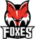HC Bolzano Foxes logo