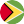 Guyana logo