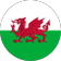 Wales logo