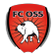 TOP Oss logo