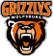 Grizzlys Wolfsburg logo