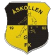 Åskollen logo