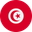 Tunisia logo