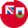 Bermuda logo