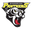 Ringerike Panthers logo
