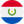 Paraguay logo