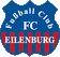 FC Eilenburg logo