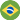 Brasil logo