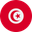 Tunisia logo