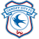 Cardiff City logo