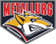 Metallurg Magnitogorsk logo