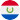 Paraguay logo