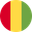 Guinea logo