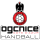 OGC Nice Cote D`Azur HB logo
