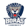 Boraas HC logo