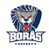 Borås HC logo