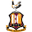 Bradford City logo