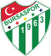 Bursaspor logo