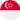 Singapore logo