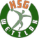 HSG Wetzlar logo