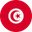 Tunisia logo