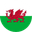 Wales logo