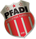 Pfadi Winterthur logo
