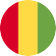 Guinea logo